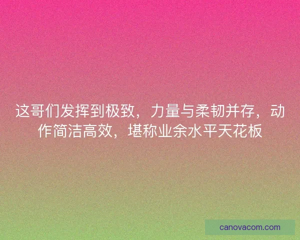 这哥们发挥到极致，力量与柔韧并存，动作简洁高效，堪称业余水平天花板